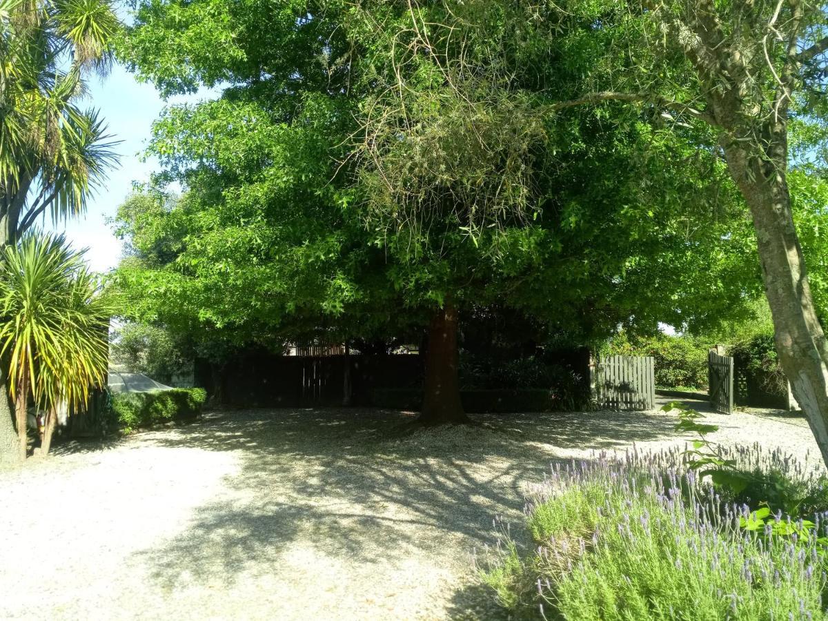 Irongate Retreat Bed & Breakfast Hastings Exterior photo